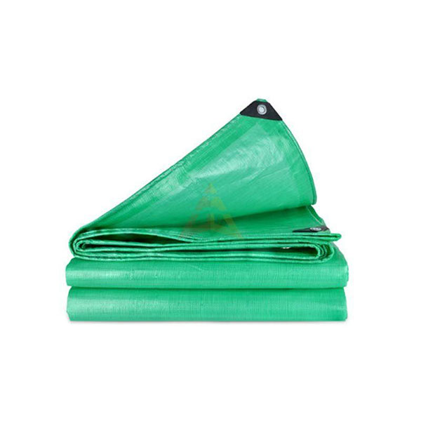 Tarp maintso